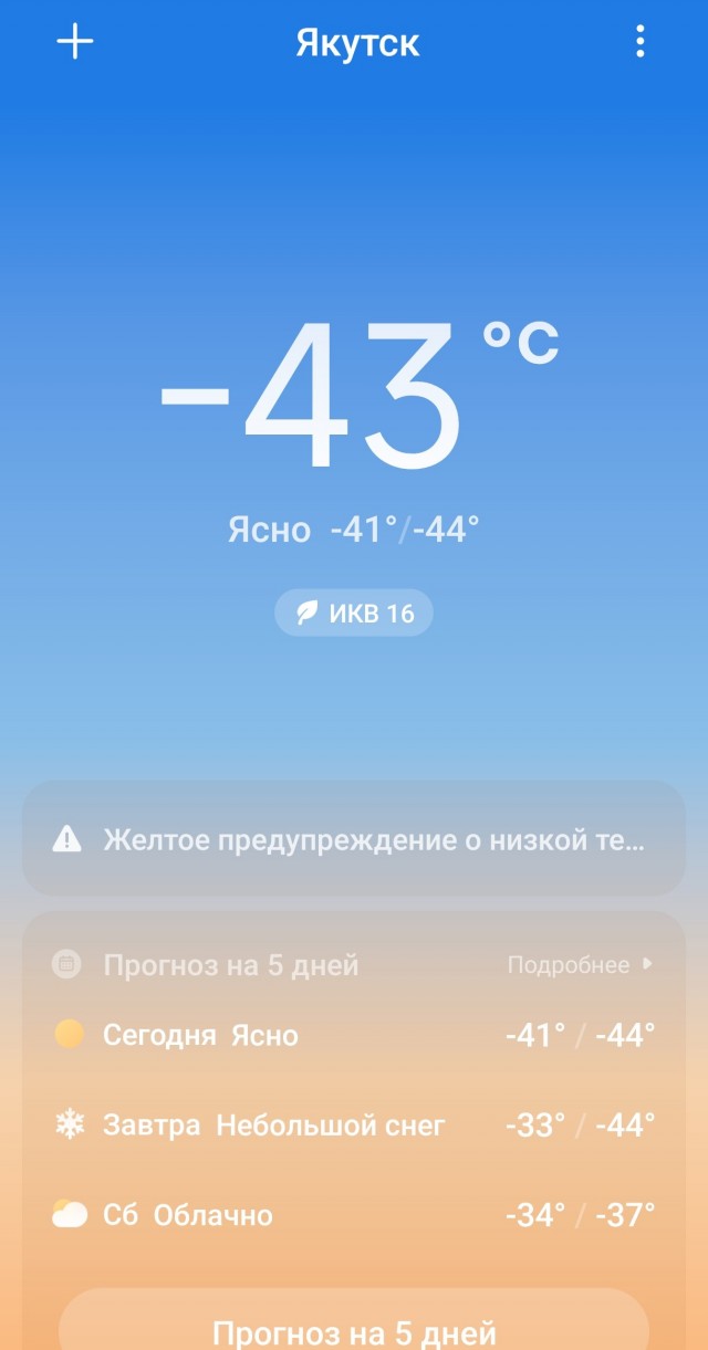 Утренний сюрприз