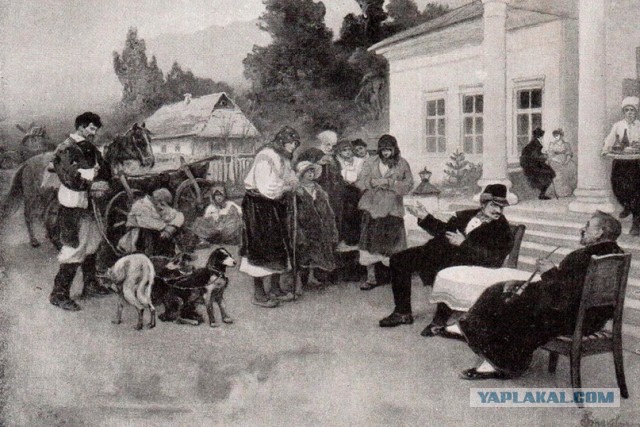 Стая собак напала на третьеклассницу в Новом Уренгое