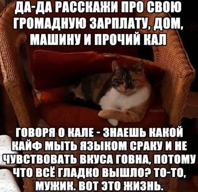 Приколы с налетом деградации