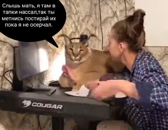В душе он маленький котик
