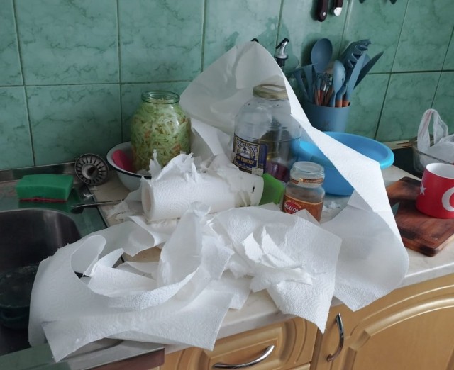 Обретение или головная боль? Кошка пришла