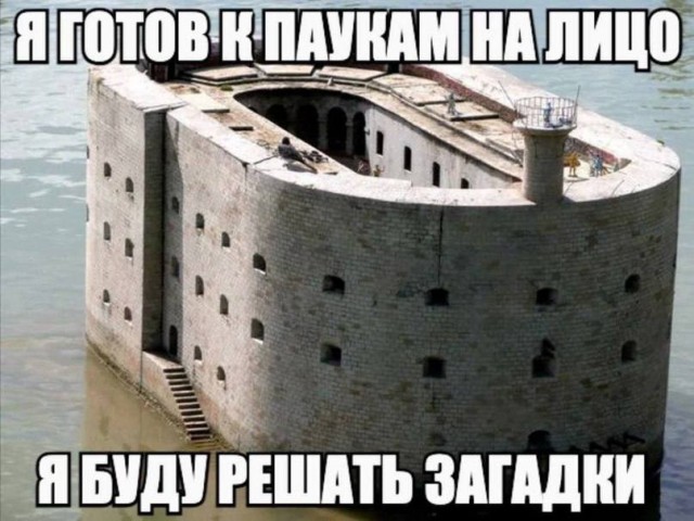 Всего понемногу. От 08.04.2024