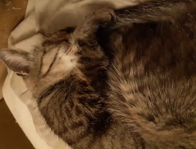 Сборник рассказов ЯПовских авторов. Обсуждение проблемы.