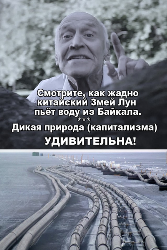Почему не надо ехать на Байкал. Непопулярное мнение местного жителя о том, что не так с великим озером