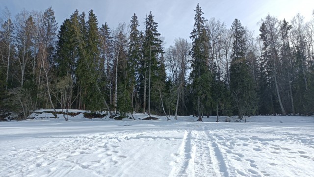 Подборка морозных фото!