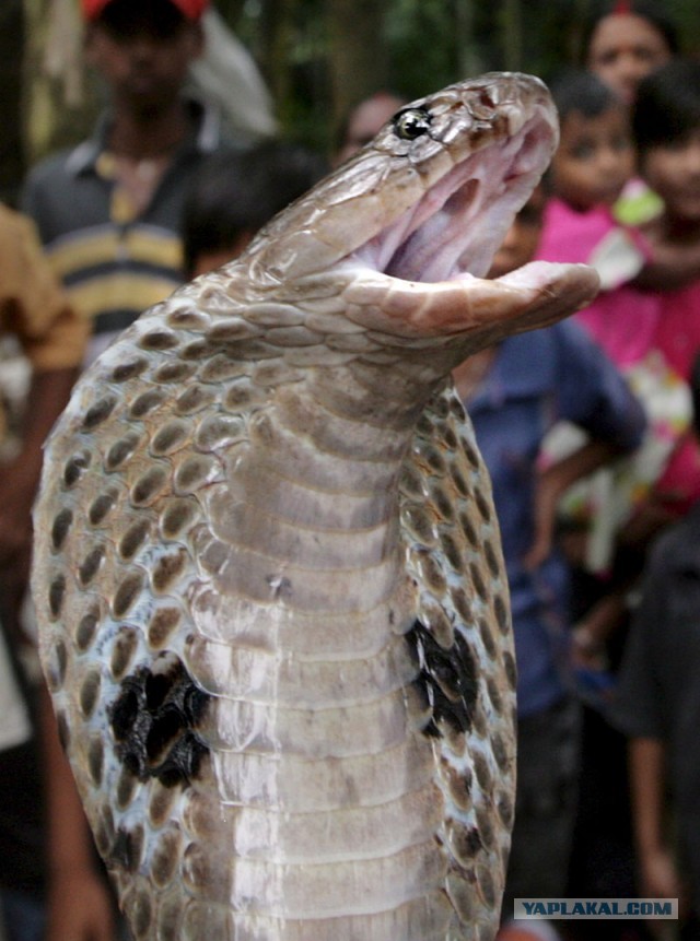 Всё о Туркменистане