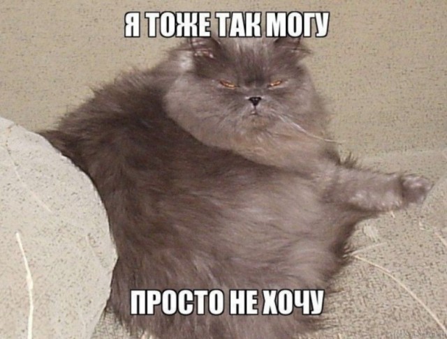 Не прогуливал физру