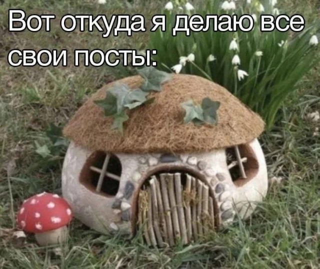 Всего понемногу. От 04.12.2024