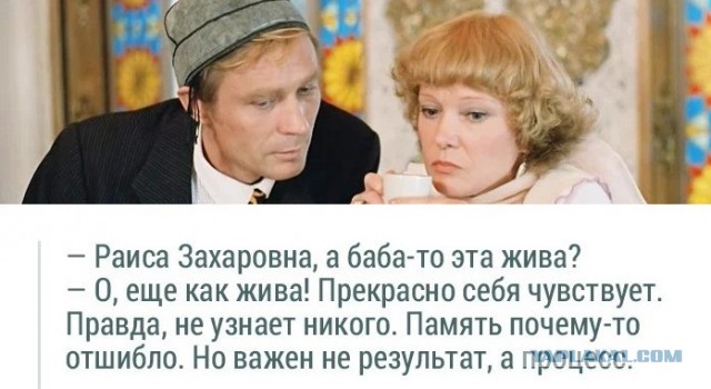 Боец на передовой спас щенка и отправил к семье в Новосибирск. В зоне СВО собака пережила контузию