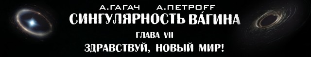 Сингулярность Вагина