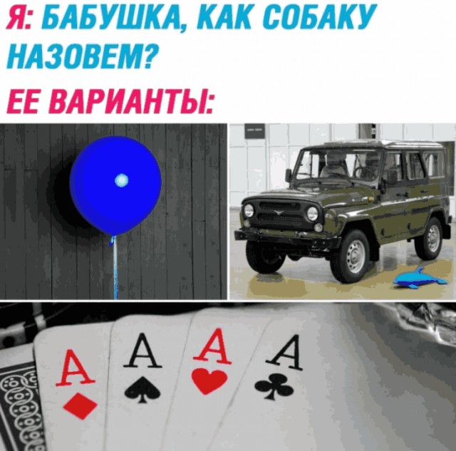 Весёлый полтишок 06.03.2025