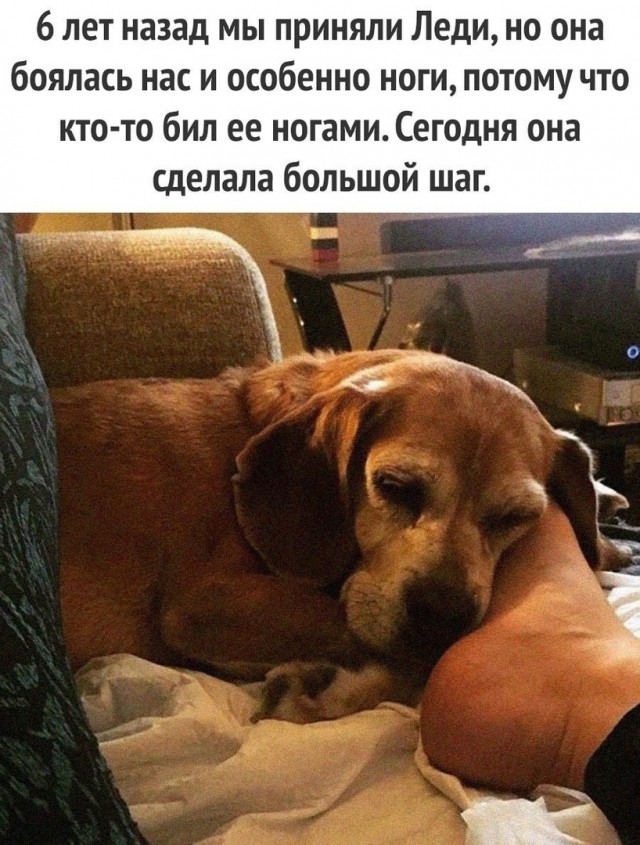 Так себе картинки 03.05.25