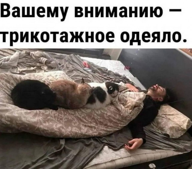 Так себе картинки 06.05.25