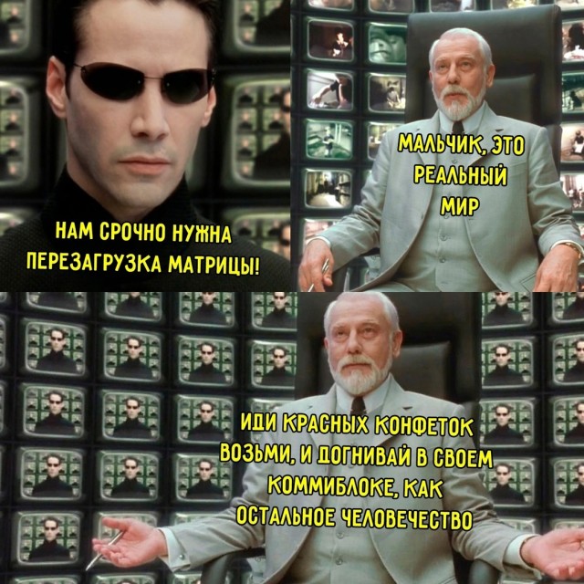 Весёлый полтишок 04.06.2025