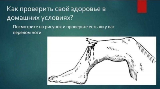 Нуштош 29.07.2025. Отделение цирка от государства (s4e5)
