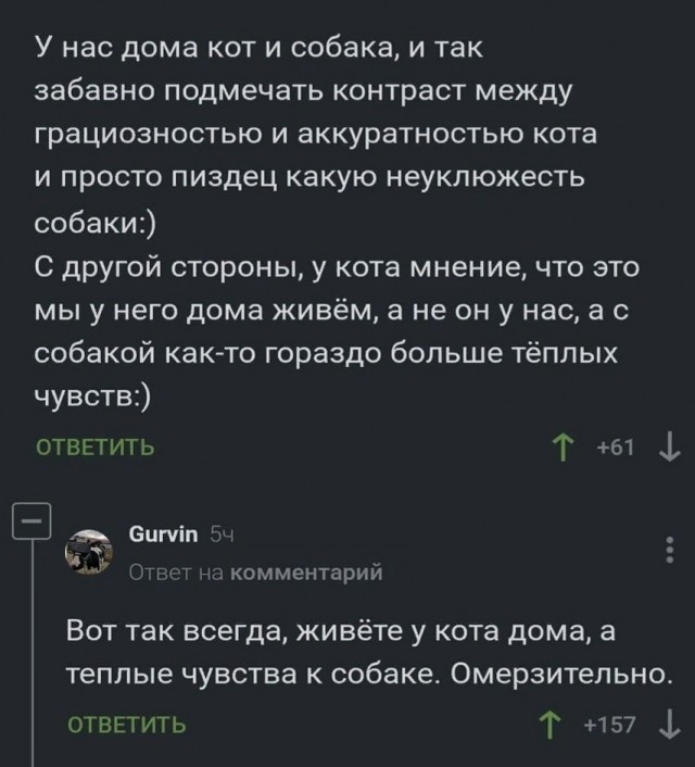 Так себе картинки 29.07.25