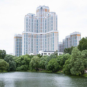 В Бирюлево ввели карантин из-за вспышки бешенства