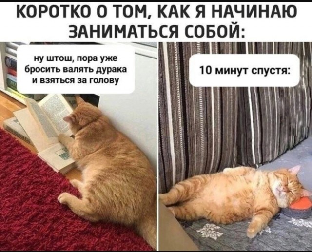 Так себе картинки 24.08.25