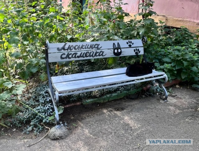 Понятно, кто во дворе главный