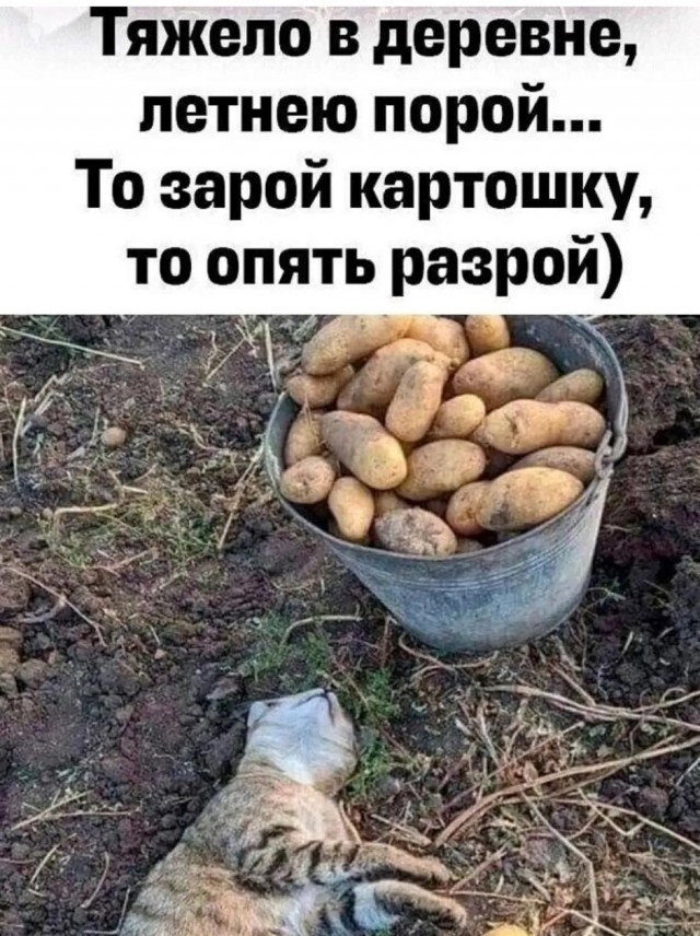 Так себе картинки 06.09.25