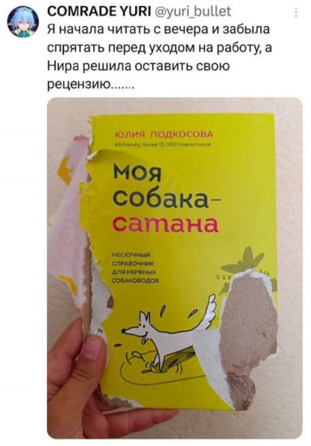 Так себе картинки 18.09.25