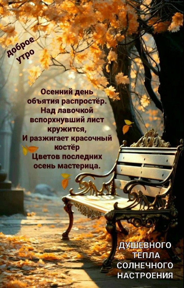 Прикольные и просто красивые картинки 10.10.2025