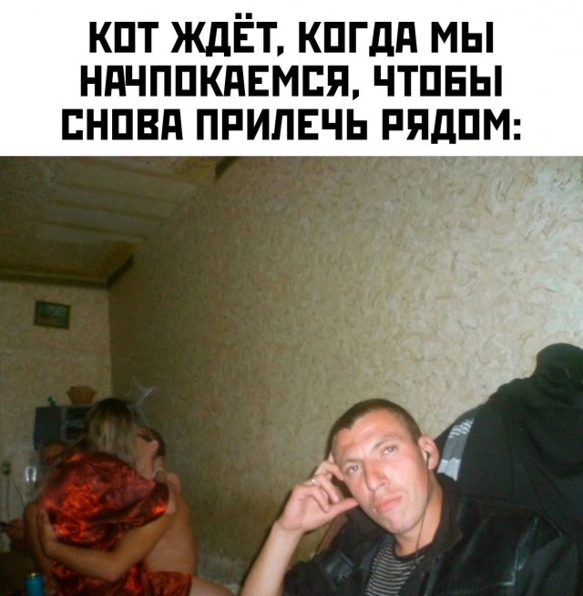Картинки для деградации 73 (разной степени свежести)