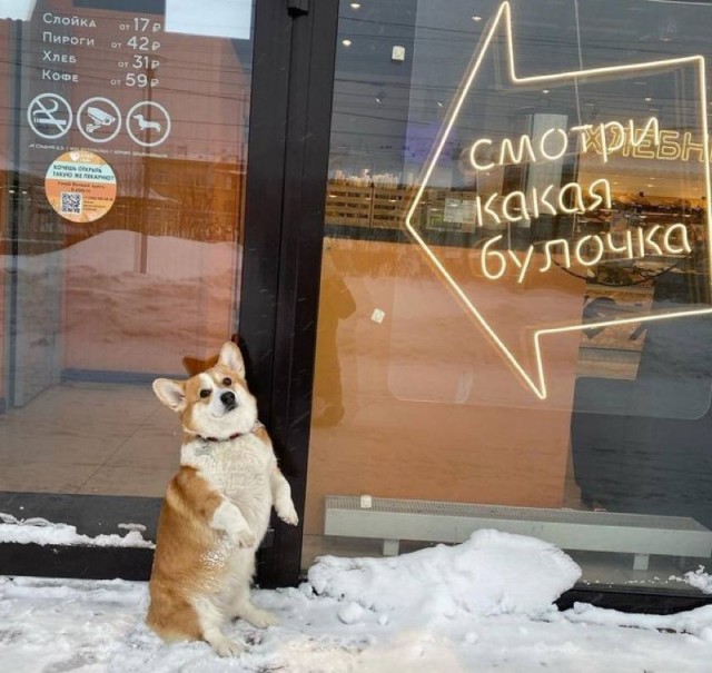 Дегрономикон 2