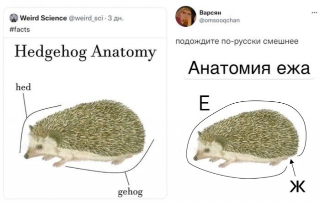 Дегрономикон 5