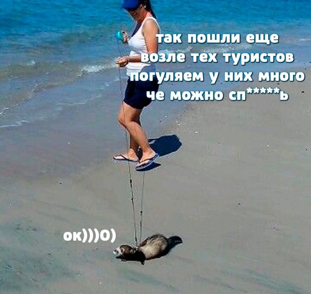 Среды картинки