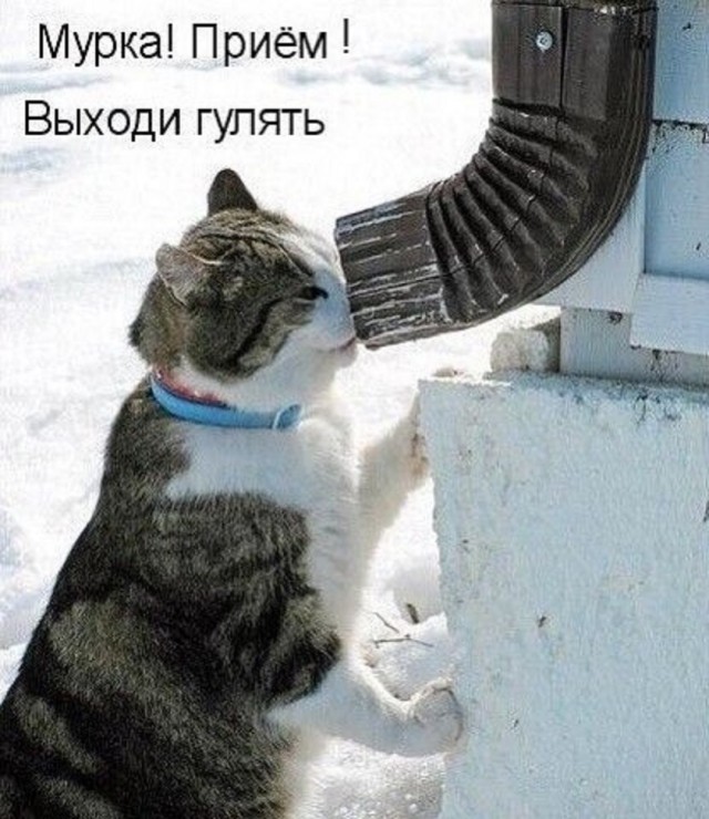 Так себе картинки 15.02.26