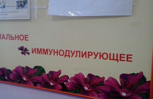 Дипломы от главы «Золохуинского района» получили дети из Золотухинского района в Курской области