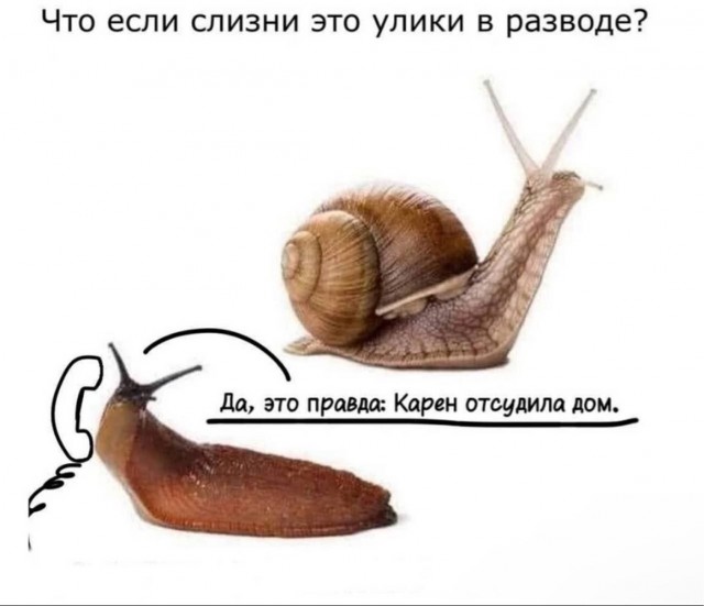 Среды картинки