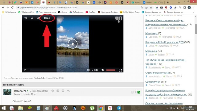 Коллективный разум
