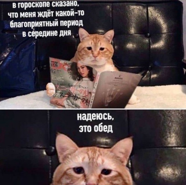 Картиночки, баянчики 25 июня