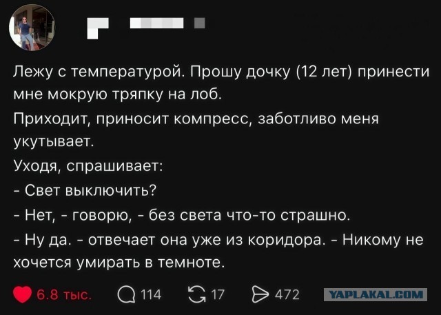 Веселые картинки в маленькую пятницу (05.08)