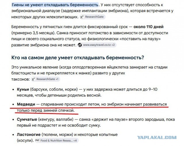 Что тетки только не выдумывают