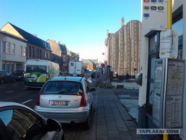 Где яблоки растут!