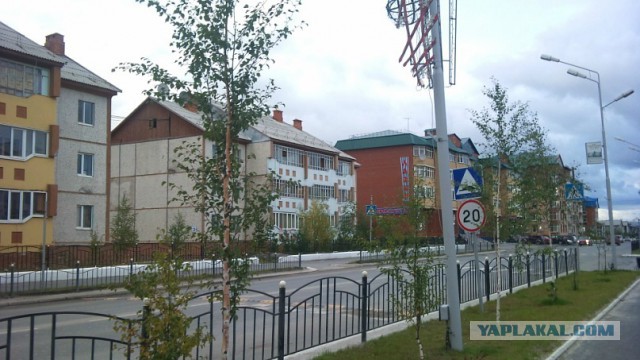 Заполярье ЯНАО