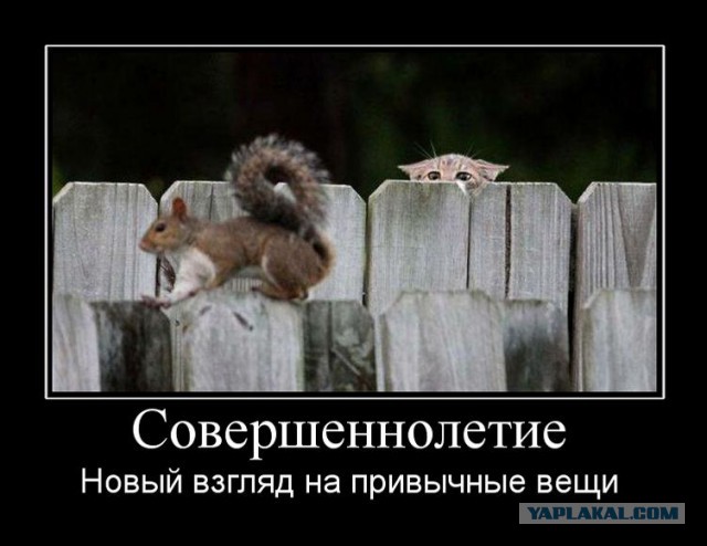 Чёрт, чёрт, чёрт!