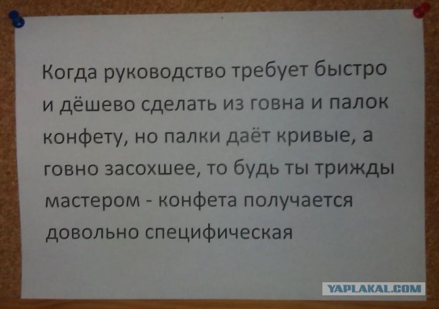 Объявления, анонсы из сети.