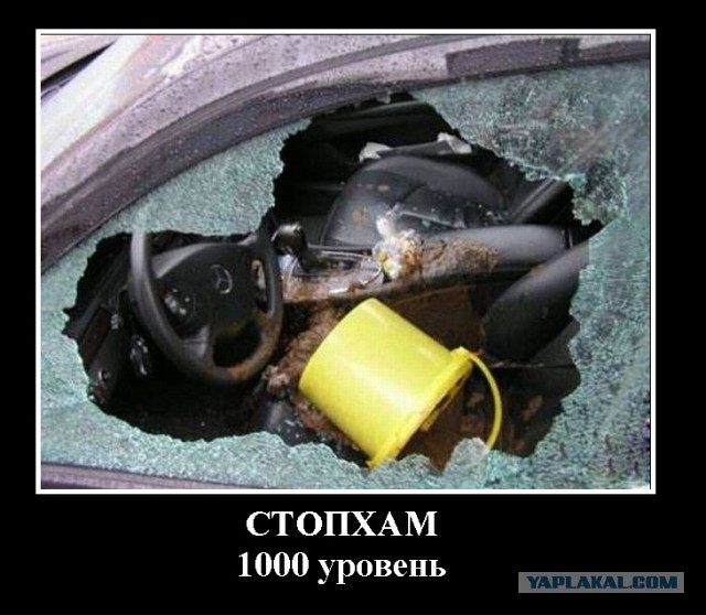 СтопХам 151