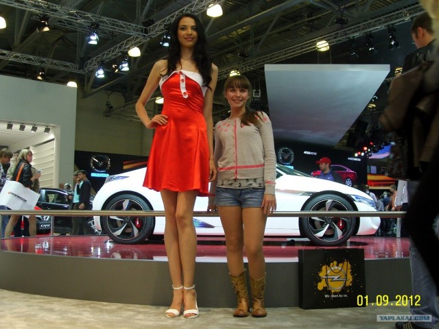 Девушки на ММАС 2012