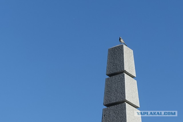 Использование военной техники в мирное время