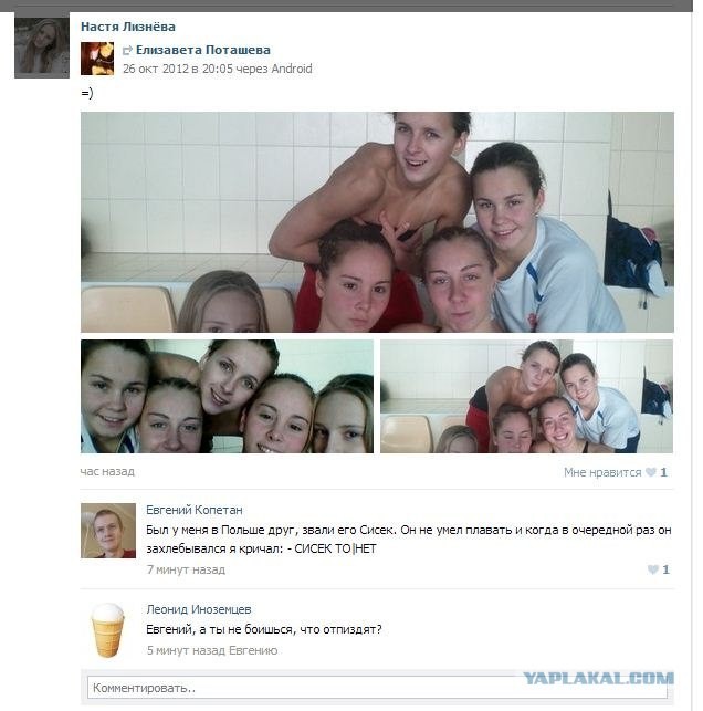 Польский друг по имени Сисек