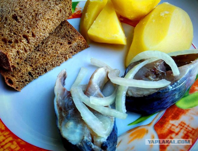 Кухня (кулинарное и околокулинарное общение)