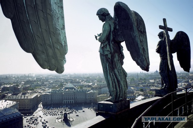 Новогодние огни Питера 2016