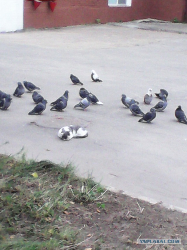 Эконом ремонт за 20 т.р.