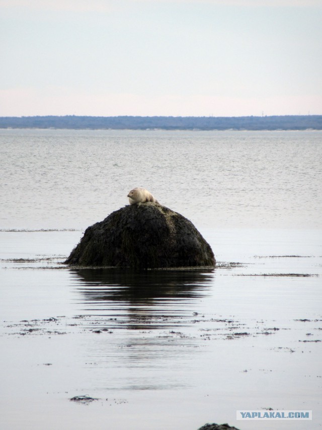 Деревенская Америка - 2
