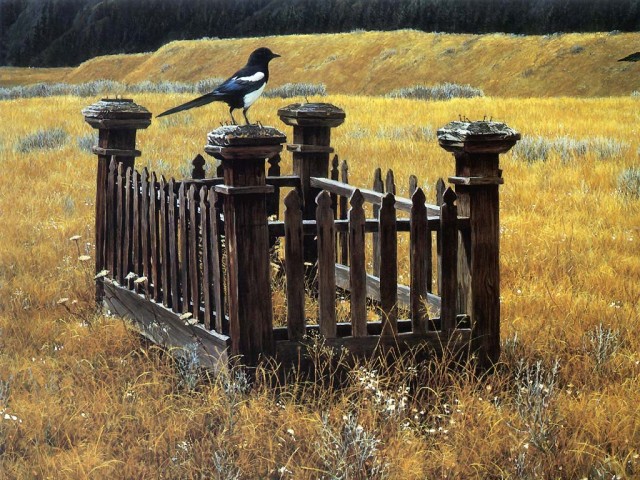 Рисованное зверьё
